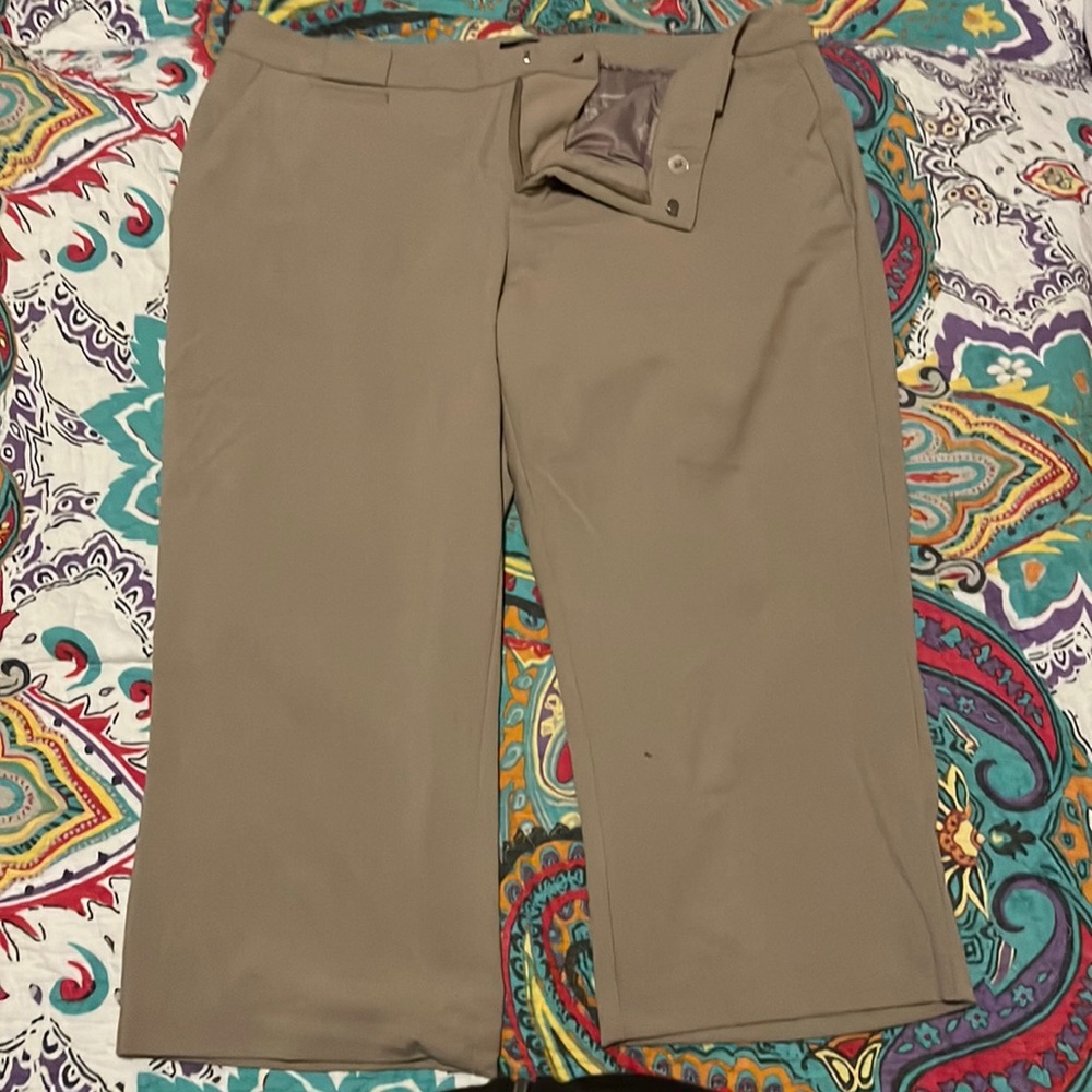DAISY FUNTES size 16 slacks